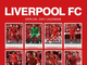 Liverpool Official Календарь 2013